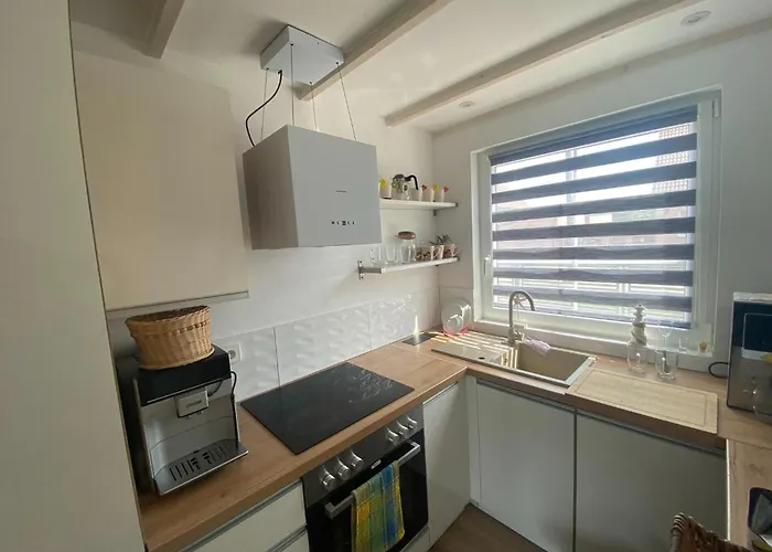 In Near Szczecin Lagoon *