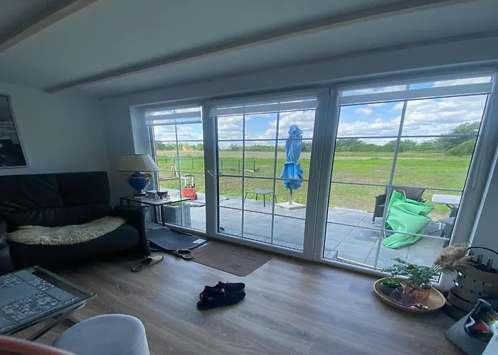 In Near Szczecin Lagoon *