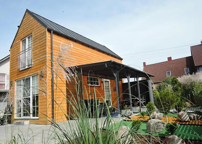 In Near Szczecin Lagoon *